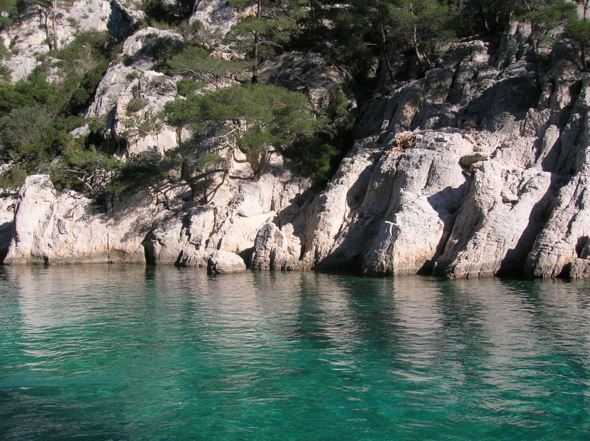 From Aix: Cassis Boat Ride & Provence Wine Tasting Day Tour - Lunch and free time in Cassis: how to use 2+ hours wisely