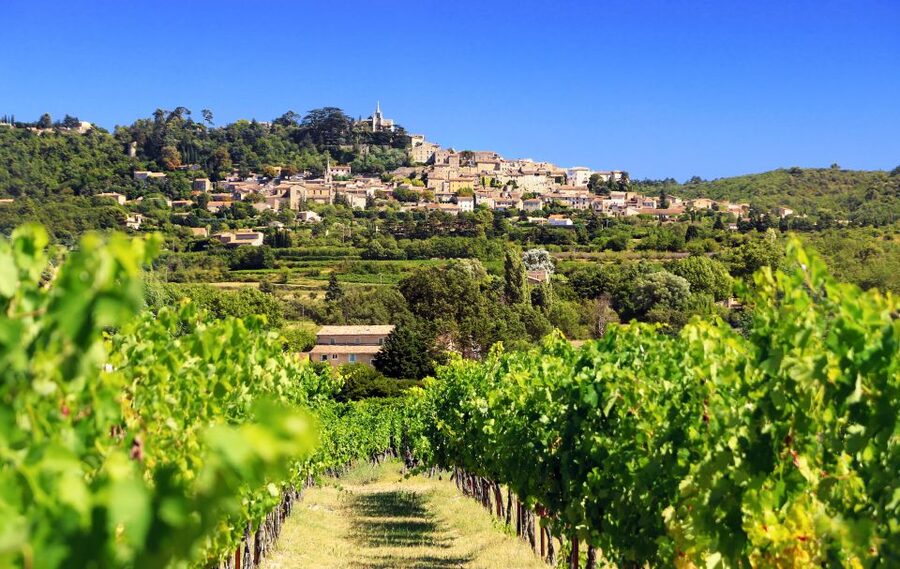 From Aix-en-Provence: Half-Day Wine Tour - Key Things to Know Before You Go