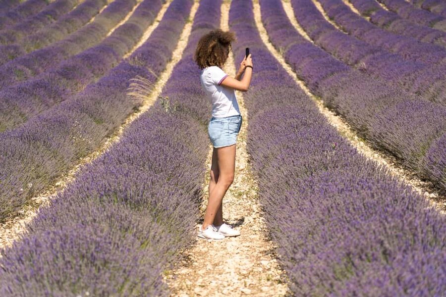 From Aix-en-Provence: Valensole Lavender Full-Day Tour - Pont de Galetas and the Verdon viewpoint stop