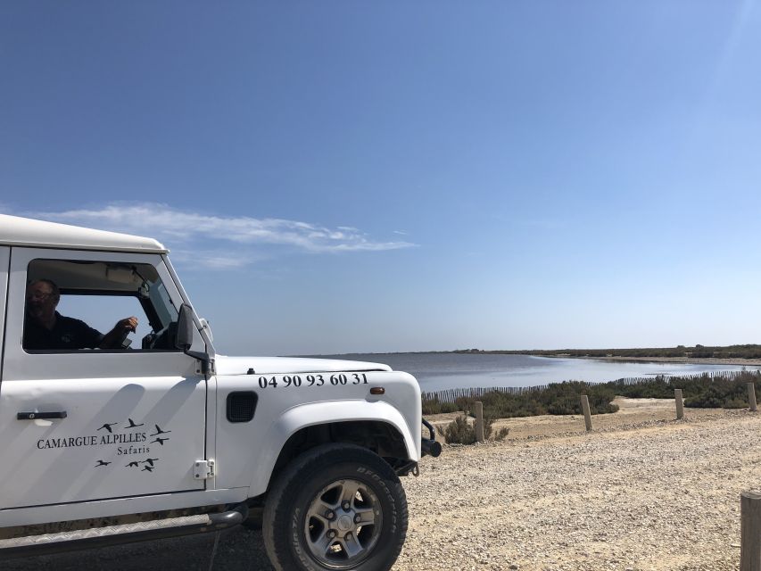 From Arles: Half-Day 4x4 Camargue Safari - Quick planning tips that make the tour smoother