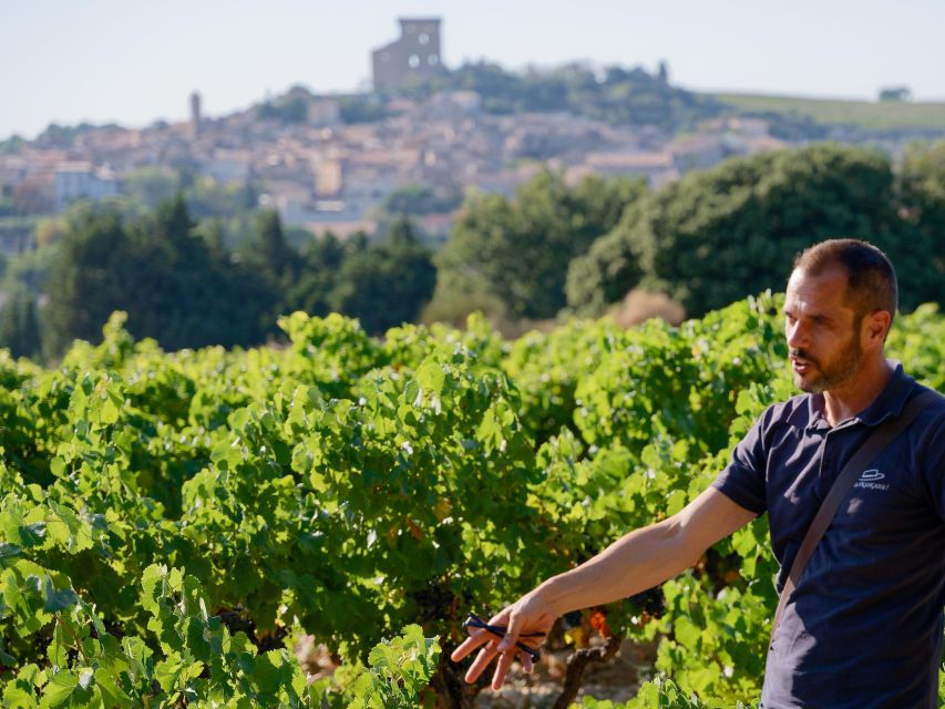 From Avignon: Châteauneuf du Pape Half-Day Wine Tour - Stop 2: the second cellar tasting to compare styles