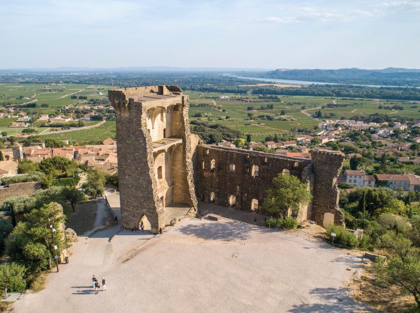 From Avignon: Châteauneuf du Pape Half-Day Wine Tour - What you learn from guides and cellar hosts (and what to tune out)