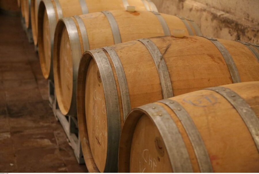 From Avignon: Half-Day Great Vineyards Tour - The AOC connection, explained in plain talk