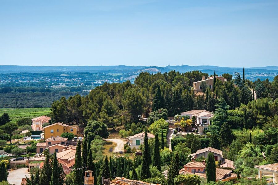 From Avignon: Half-Day Great Vineyards Tour - Price and value at $94 for a half-day in the Rhône