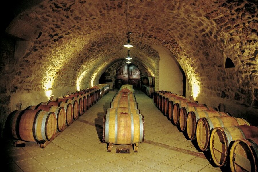 From Avignon: Half-Day Great Vineyards Tour - Who this tour suits best, and who should choose something else