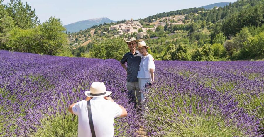 From Avignon: Half-Day Lavender Tour of Luberon - Lavender Fields Photo Stops: Timing, Rules, and Best Shots