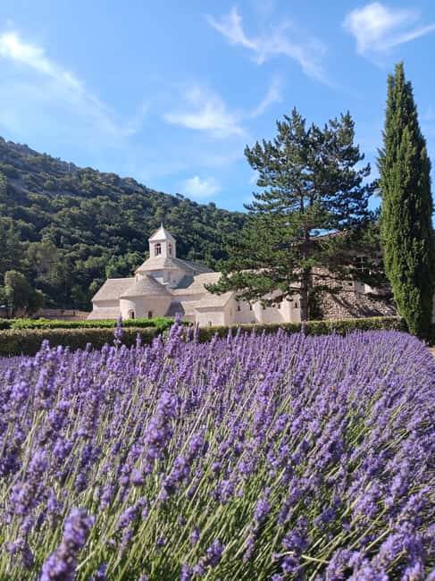 From Avignon: Lavender Villages Full-Day Tour - The market stop that makes it feel like Provence