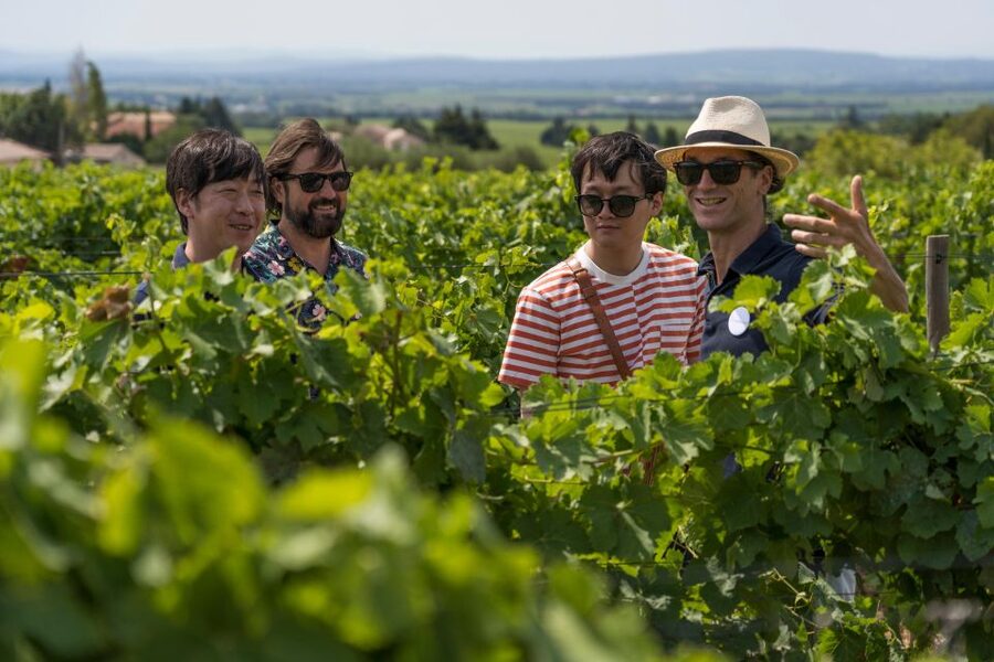 From Avignon: Luberon and Chateauneuf-du-Pape Full-Day Tour - Gordes and its dry-stone magic: where the viewpoint does the work