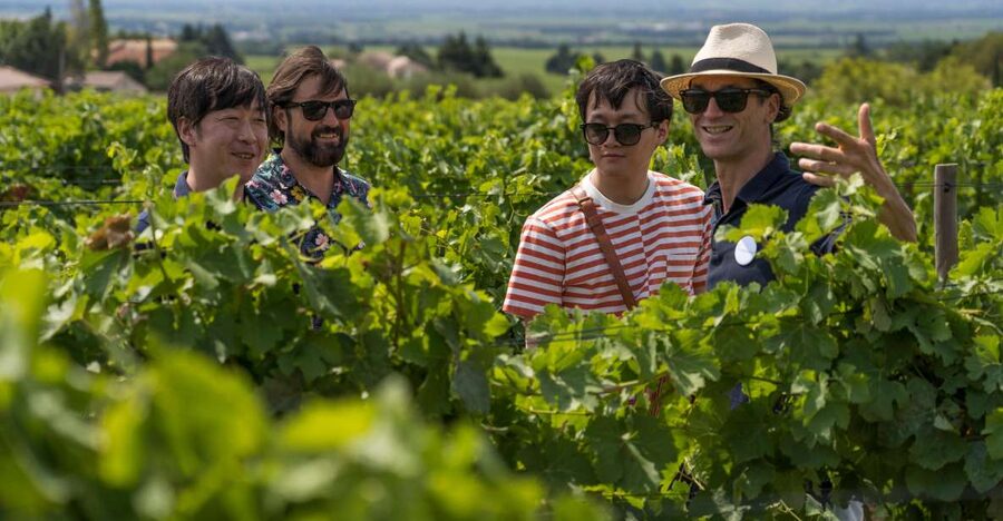 From Avignon: Luberon and Chateauneuf-du-Pape Full-Day Tour - Roussillon: ochre cliffs, tight streets, and that instant Provence look