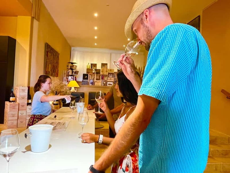 From Avignon: Wine Tour with Visit to Châteauneuf du Pape - Who this tour suits best, and who should choose differently