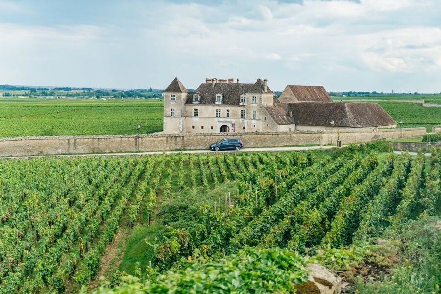 From Beaune: Burgundy Day Trip with 14 Wine Tastings - Key highlights that make this day tour worth it