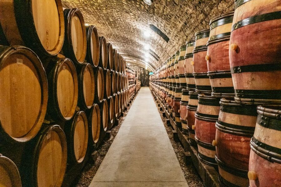 From Beaune: Burgundy Day Trip with 14 Wine Tastings - Price and value: why $294 can work for the right traveler