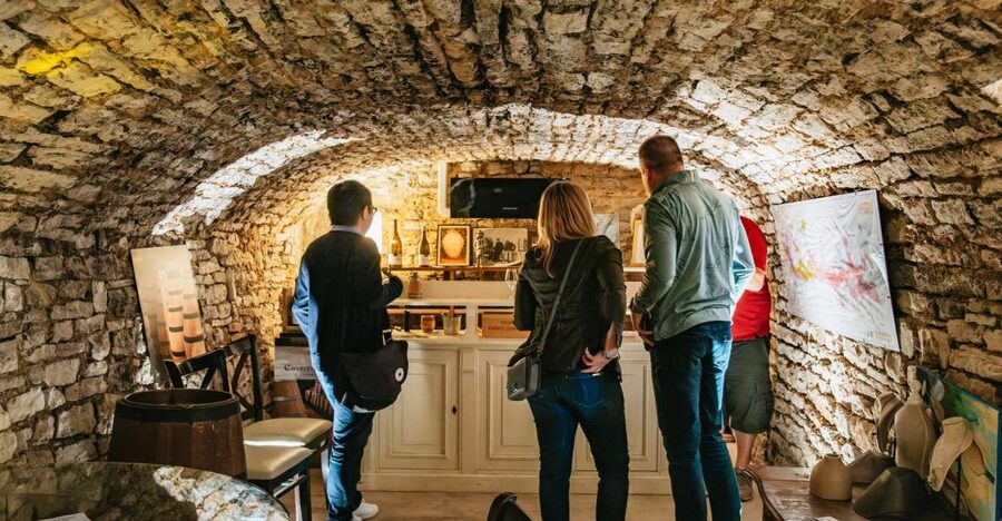 From Beaune: Burgundy Day Trip with 14 Wine Tastings - From Beaune at 9:30 AM: the van, the pace, and why it matters