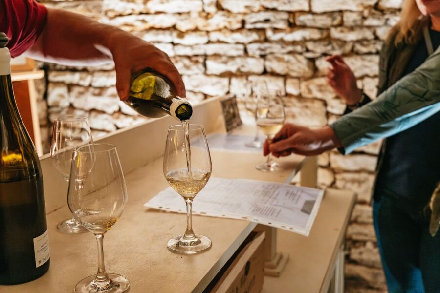 From Beaune: Burgundy Day Trip with 14 Wine Tastings - Village, 1er Cru, and a Grand Cru: what 14 wines should teach you