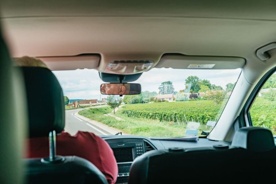 From Beaune: Burgundy Day Trip with 14 Wine Tastings - Chambolle-Musigny wine shop finale: where to buy without panic