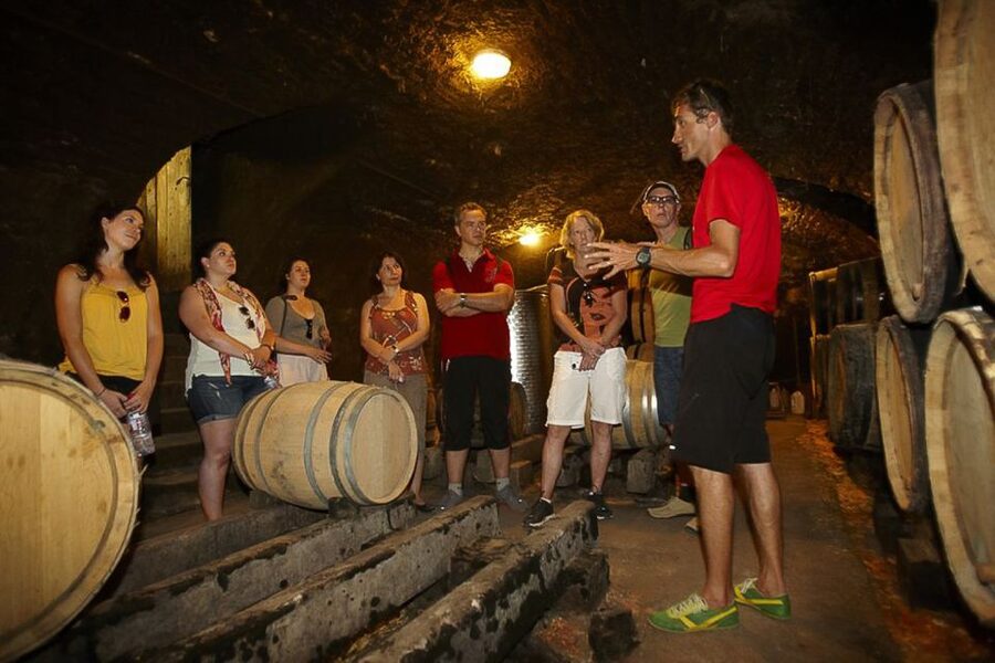From Beaune: Full-Day Bicycle and Wine Tour in Burgundy - Key Highlights You Should Know Before You Go