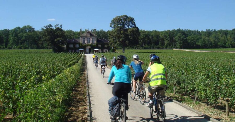 From Beaune: Full-Day Bicycle and Wine Tour in Burgundy - Entering Beaune’s Wine Hills, One Photo Stop at a Time