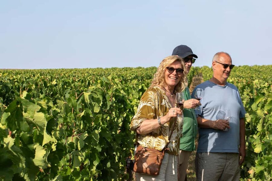 From Bordeaux: Afternoon Saint-Emilion Wine Tasting & snack - The Grand Cru Classé chateau visit: where the tour starts to feel real