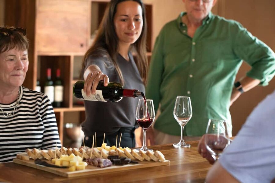 From Bordeaux: Afternoon Saint-Emilion Wine Tasting & snack - The wine-making tour and what you learn before tasting