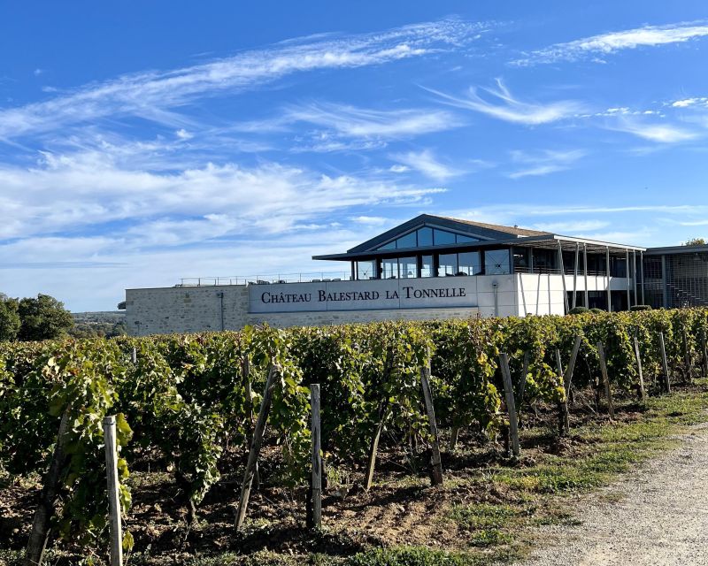 From Bordeaux: Afternoon Saint-Emilion Wine Tasting & snack - Saint-Émilion village walking tour: medieval streets with a purpose