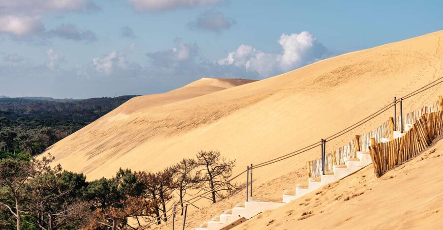From Bordeaux: Arcachon Bay Full Day Tour and Oyster Lunch - Key points to know before you go