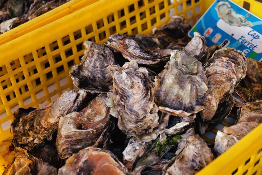From Bordeaux: Arcachon Bay Full Day Tour and Oyster Lunch - Arcachon’s Winter Town villas, eccentric houses with a purpose