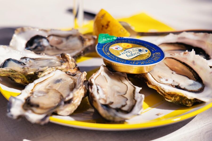 From Bordeaux: Arcachon Bay Full Day Tour and Oyster Lunch - Gujan-Mestras lunch, oysters or shrimp with local white wine