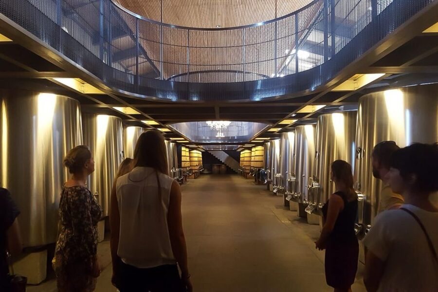 From Bordeaux: Full-Day Medoc Wine Tour - Pauillac break: free time plus tasting time