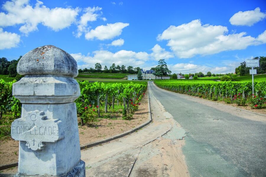 From Bordeaux: Full-Day St Emilion Wine Tasting Tour - Key things that make this tour work