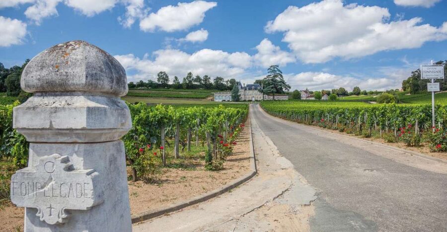 From Bordeaux: Full-Day St Emilion Wine Tasting Tour - Two chateaux before town time: how to compare like a pro