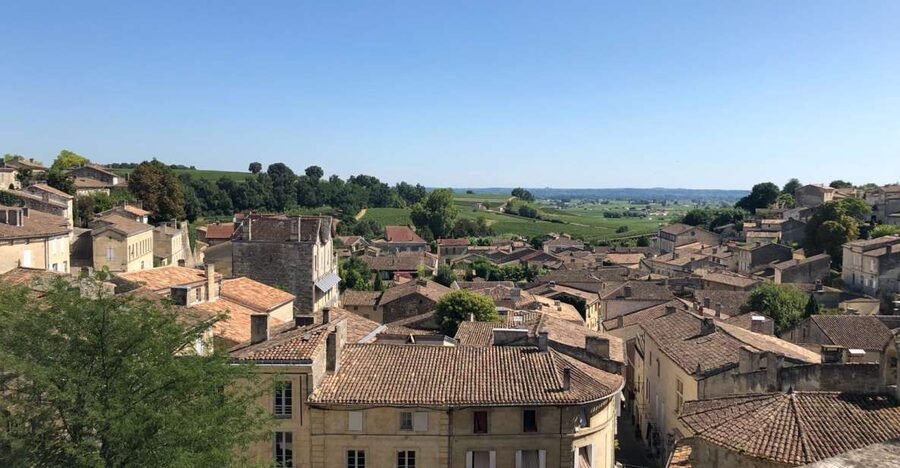 From Bordeaux: Half-Day Saint-Emilion Wine Tour - Inside a grand cru château: tour, viewpoints, and an 8-wine tasting