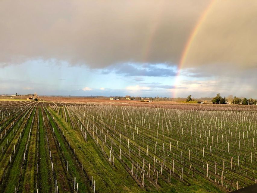 From Bordeaux: Half-Day Saint-Emilion Wine Tour - The van ride that turns you from tourist to taster