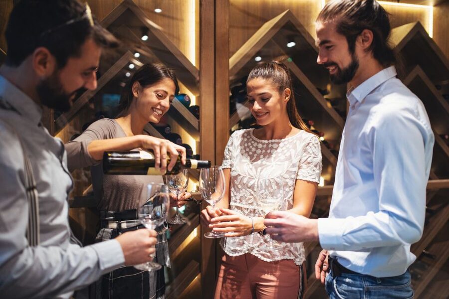 From Bordeaux: Medoc Half-Day Wine Tour - Entering the Medoc from Bordeaux: What the Ride Sets Up