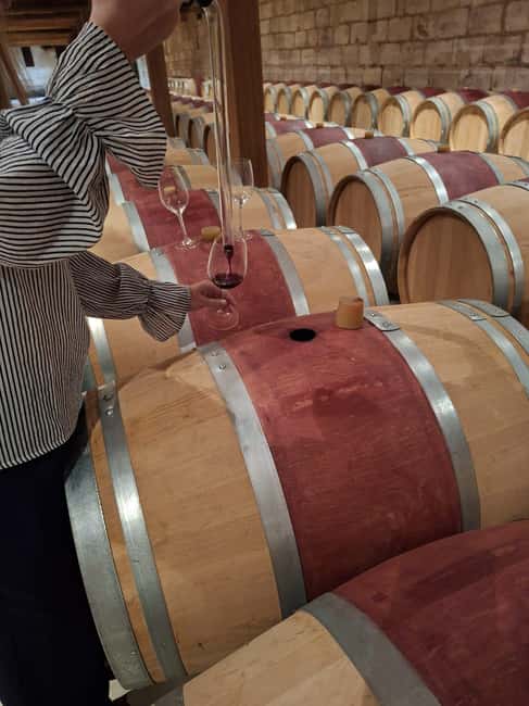 From Bordeaux: Medoc Wineries Tour with Tastings - The 1855 chateau stop: why it works even if you are new to Bordeaux