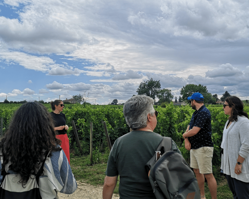 From Bordeaux: Saint-Émilion Half-Day Tour with Wine Tasting - From Cité du Vin to Saint-Émilion, the flow that keeps it fun