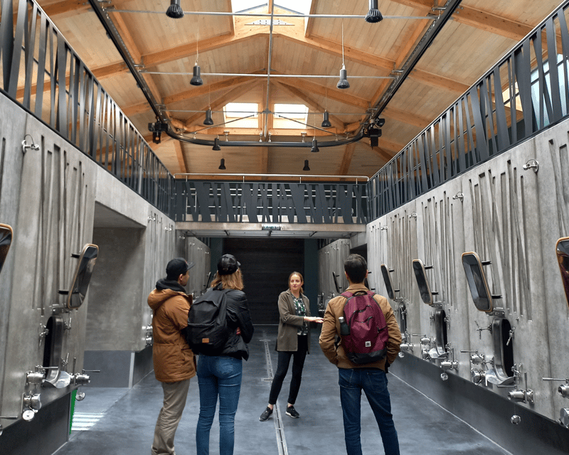 From Bordeaux: Saint-Émilion Half-Day Tour with Wine Tasting - The family organic winery: vineyard, cellar, then 3 red wines
