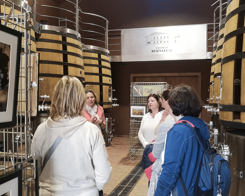 From Bordeaux: Saint-Émilion Half-Day Tour with Wine Tasting - Saint-Émilion town tour: medieval squares, monuments, and the best viewpoints