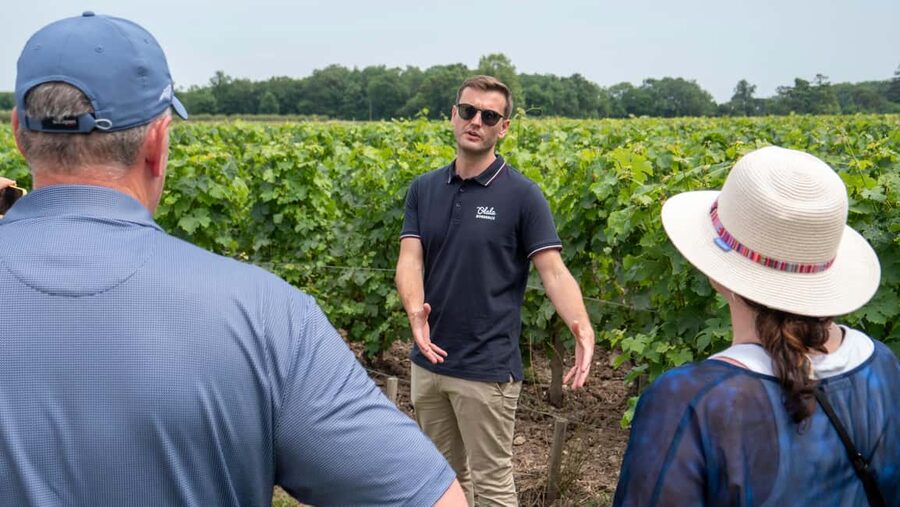 From Bordeaux: St-Emilion Day Tour with Tastings and Lunch - Picnic lunch at a château: jars, charcuterie, cheese, and wine