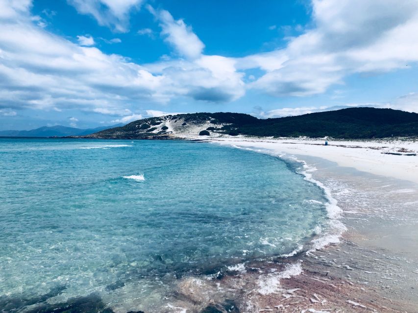 From Calvi: 4x4 Day Tour Mountain & Agriates' Saleccia Beach - Key highlights that make this tour worth your time
