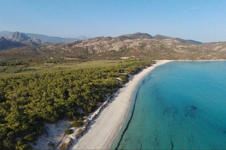 From Calvi: 4x4 Day Tour Mountain & Agriates' Saleccia Beach - 4x4 mornings from Calvi, Lumio, and the Balagne pull of the early day