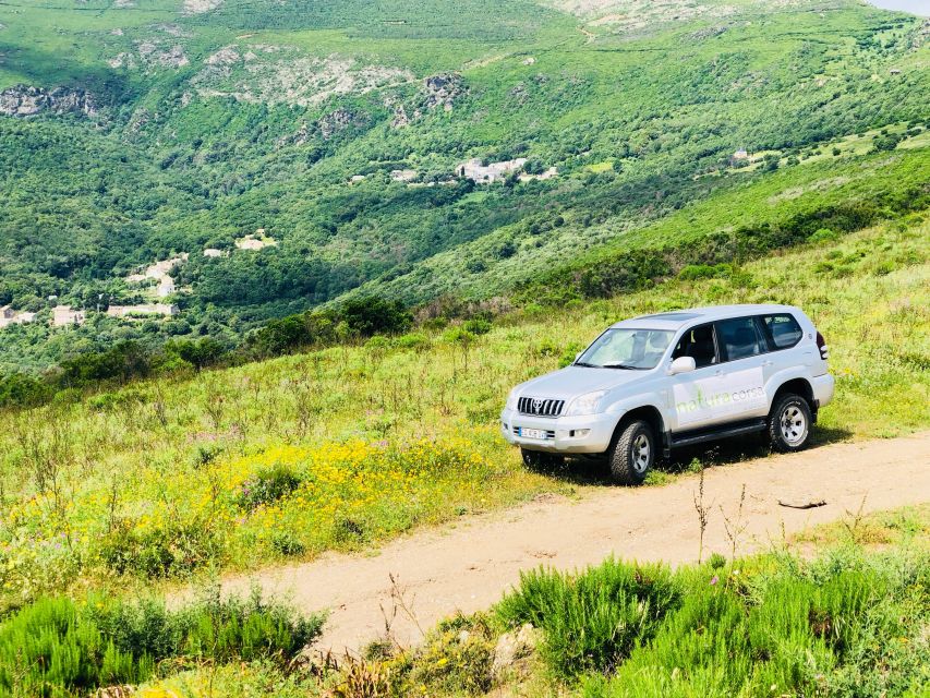 From Calvi: 4x4 Day Tour Mountain & Agriates' Saleccia Beach - Reginu Valley olive rows, plus lunch that can be a mixed bag