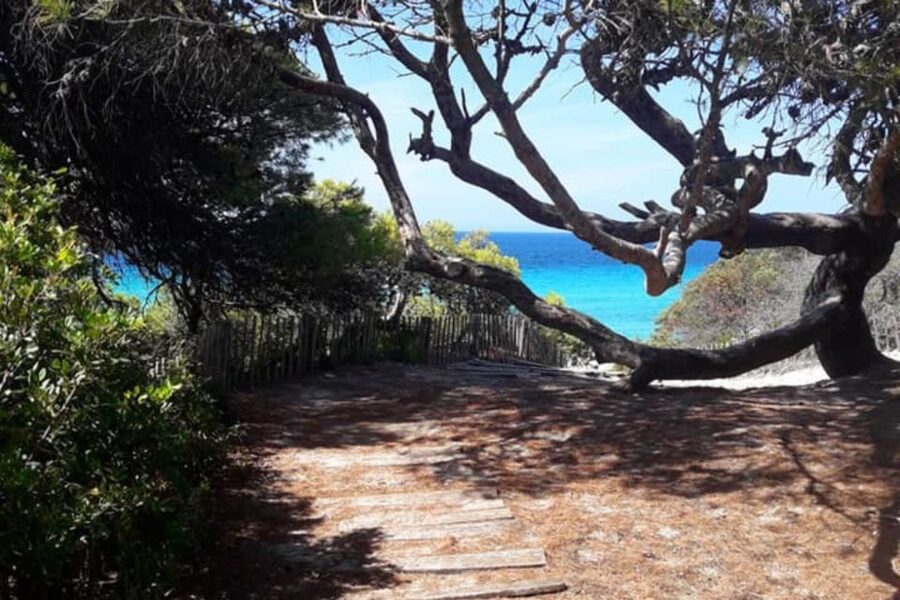 From Calvi: 4x4 Day Tour Mountain & Agriates' Saleccia Beach - Price and value: what $123 covers, and what you’ll add yourself