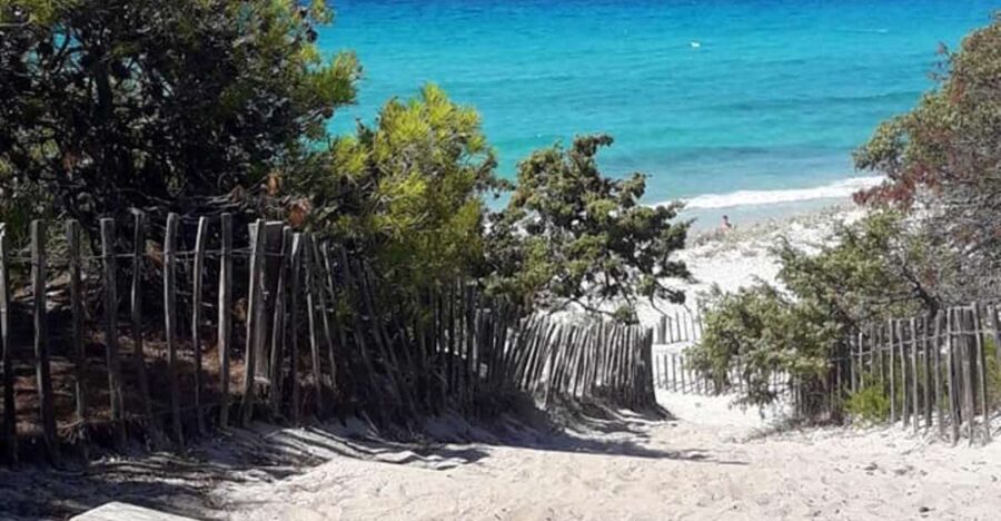 From Calvi: 4x4 Day Tour Mountain & Agriates' Saleccia Beach - Guide energy: Tony and Jeremy as examples of the kind of storytelling you get
