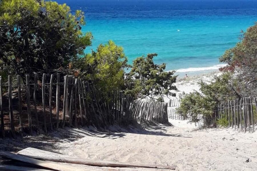 From Calvi: 4x4 Day Tour Mountain & Agriates' Saleccia Beach - Who should book this tour, and who might want a different style