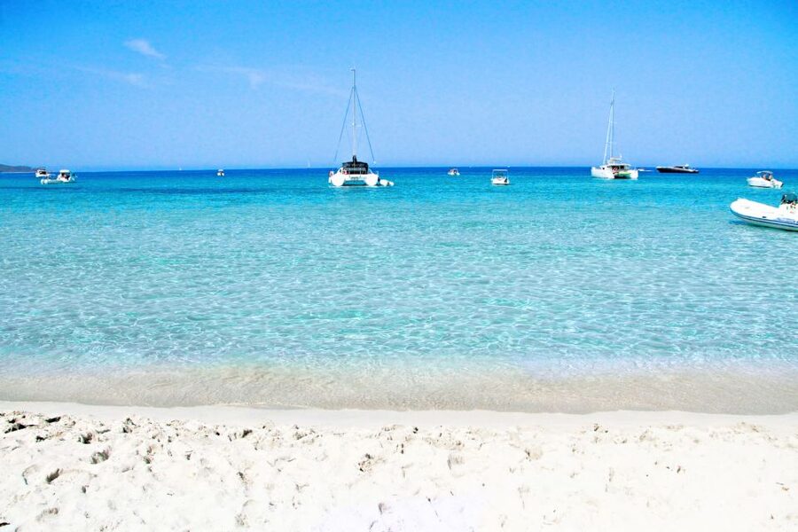 From Calvi: Agriate Guided Jeep Tour to Lotu and Saleccia - Key highlights worth knowing