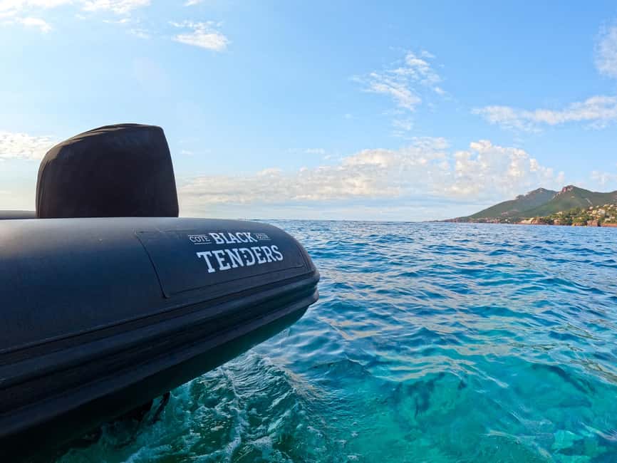 From Cannes: Essential Calanques de l'Estérel Sea Excursion - The Estérel Massif Stop: Sea Life Watching and a Real Swim Break