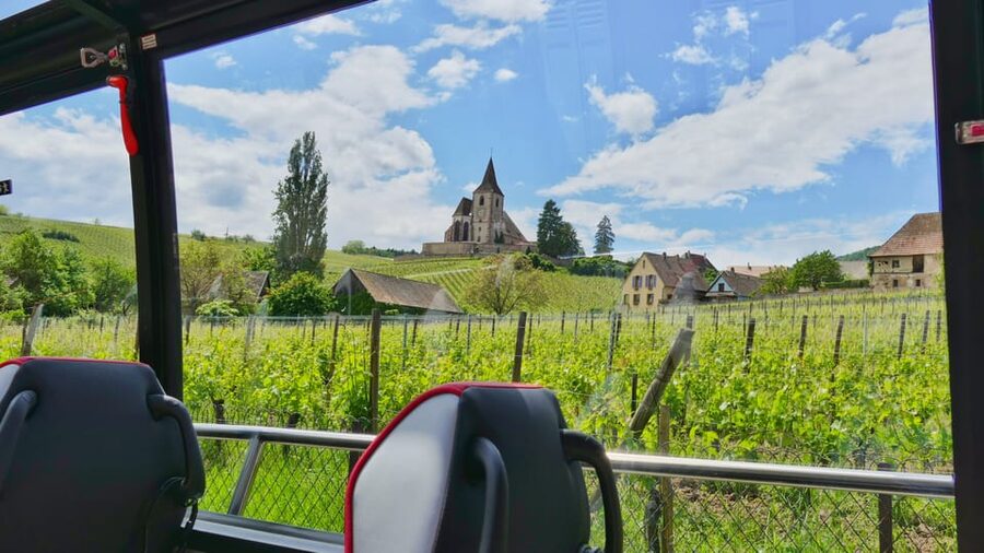 From Colmar: Alsace Medieval and Wine Tasting Day Tour - Who this tour suits best (and who should rethink it)