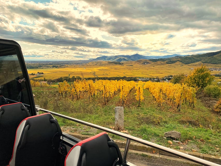 From Colmar: Alsace Medieval and Wine Tasting Day Tour - Price and logistics: is $165 good value from Colmar?