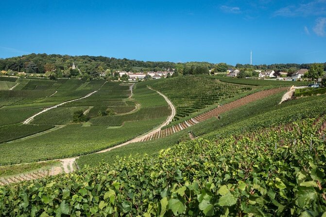 From Epernay: Champagne Small-Group tour with tastings & Lunch - Key highlights I’d book for