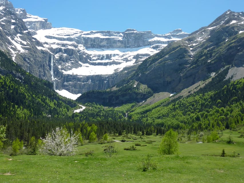 From Lourdes: Gavarnie and Pont d'Espagne Day Trip - Marcadau walk: wildlife and flora time in the high country